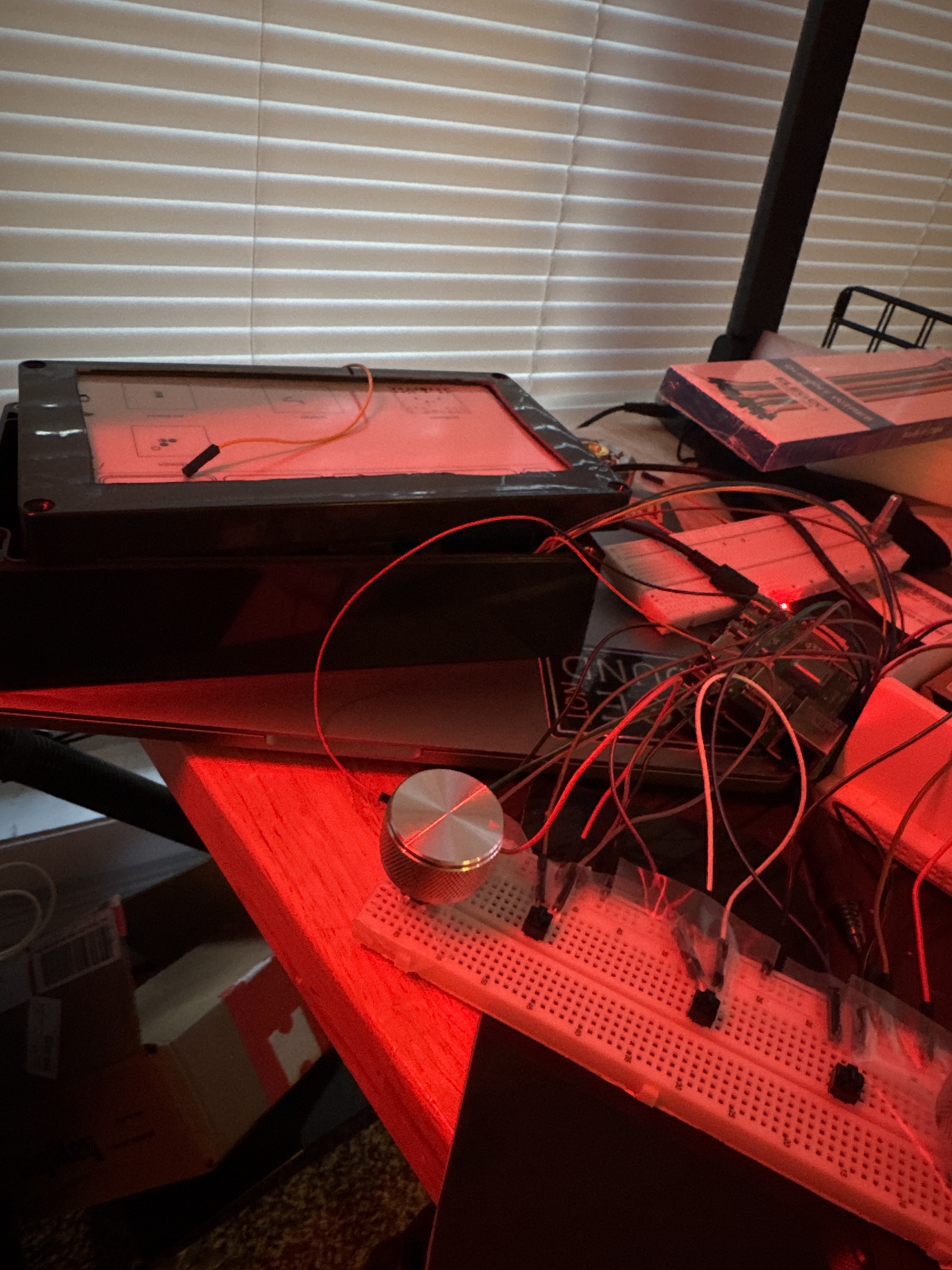 The nest in question